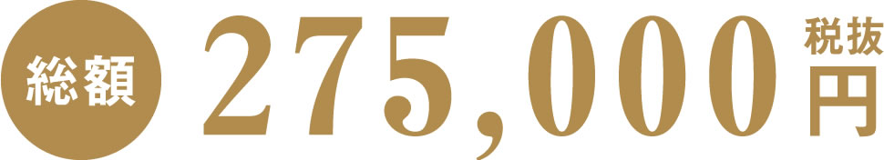 一日葬の費用は262,880円